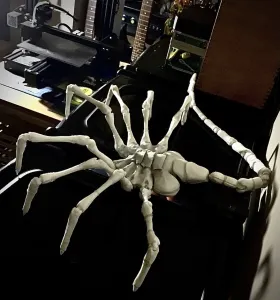 Alien Face Hugger. Full size and beautiful.