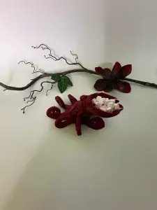Octopus dish