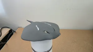 Eagle Ray (stingray)