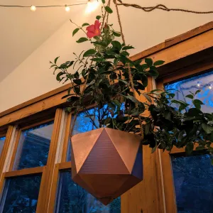 Icosahedron Hanging Planter