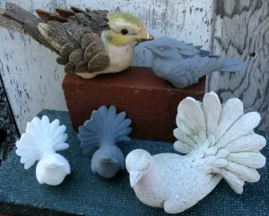 Two Bird Models