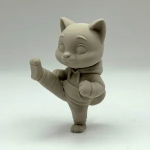 Karate Kitten