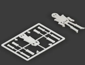 skeleton kit card