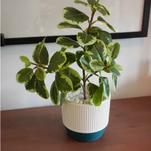 Slatted Planter