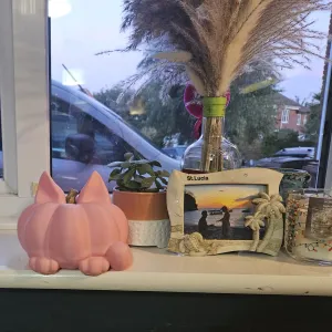 Halloween pumpkin cat decor, CU