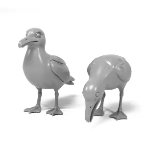 Seagulls