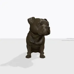 Kira (English Staffordshire Terrier) - CubeMe