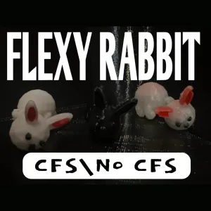 Flexy Rabbit: CFS\No CFS