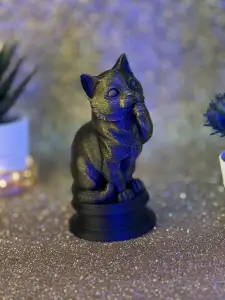 CAT CUTE
