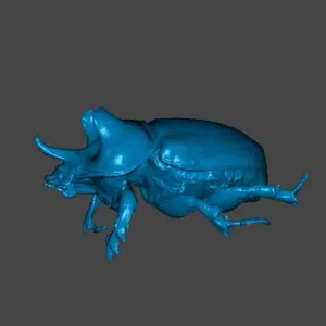 Escarabajo Rinoceronte