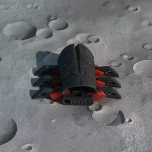 CSD-星际甲虫
