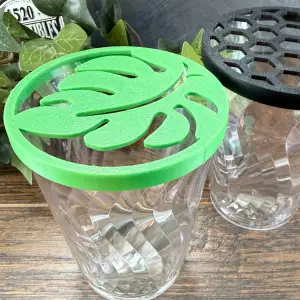 Cup Cover for Plant Propagation - 75mm Cup (Chinet 10oz)