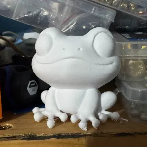 Sir Frog the Frog