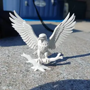 Majestic American Eagle