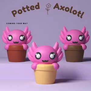 Potted Axolotl