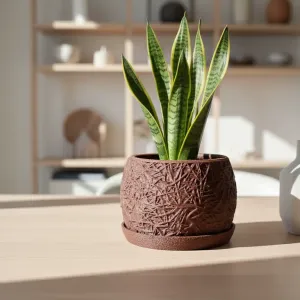The Straw Planter - Botany Chic - Home Decor