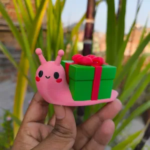 Christmas Special - Cute little Snail ( Gift Box )