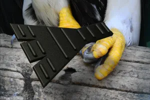 BIRD SLIPPER / PROSTHETIC