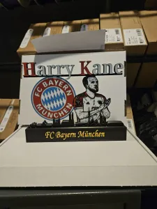 Bundesliga - FC bayern Munchen Harry Kane display