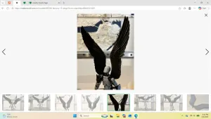 Dummy 13 wings