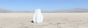cloverleaf vase