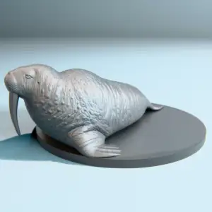 Walrus