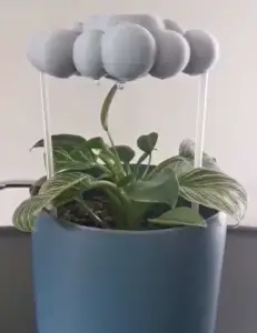 self watering rain cloud for indoor plants