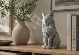 Maine Coon Cat