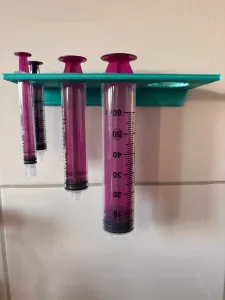 Wall mounted syringe holder