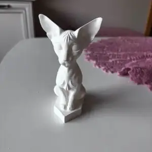 Sfinx cat