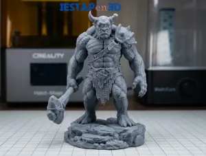 The Ogre Warrior