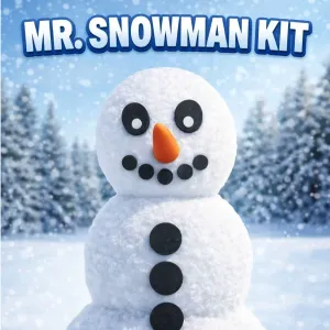 Mr. Snowman Kit - The Mr. Potato Head for the Snow