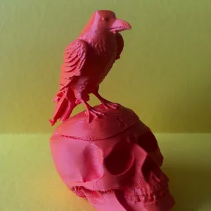 Halloween skull with raven