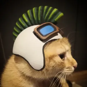 Punk Helmet