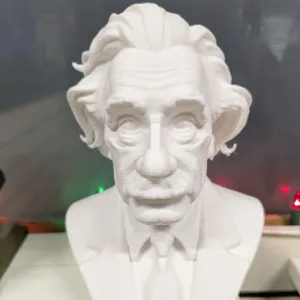 Albert Einstein bust