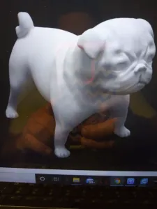 pug