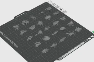 一组贝壳、海螺、海胆等海洋生物t
