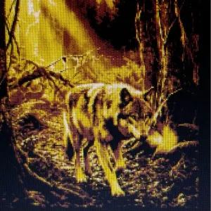wolf card