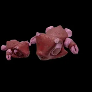 Cancer Turtle flexi
