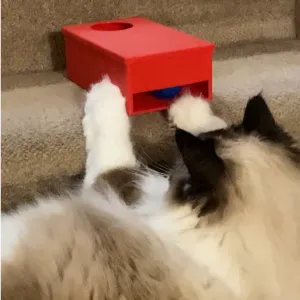 Automatic Ramped Ball Rollback Game for Cats
