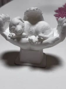 Baby dog in angel hands