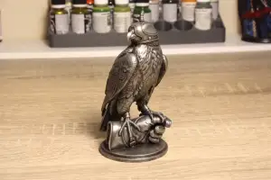 Peregrine Falcon falconry