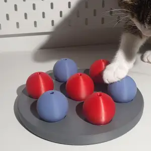 Cat activity game