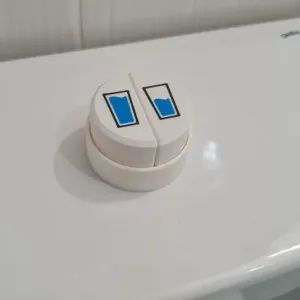 Large toilet flush buttons