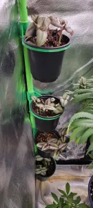 Clip-On Shelf for 4” Pots (16mm & 22mm Poles)