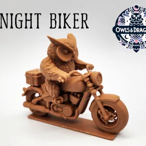 The Night Biker - Owls & Dragons