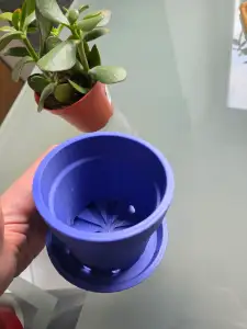 Flower Pot