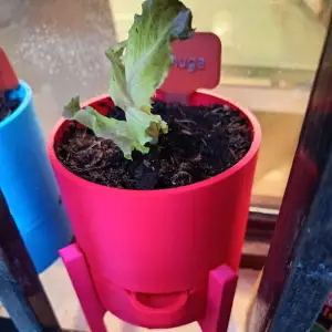 Maceta Autoriego/Minimalist Self-Watering Planter (10cm)