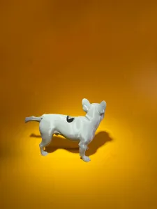 French bulldog watering flowers