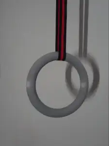 GYMNASTIC RINGS